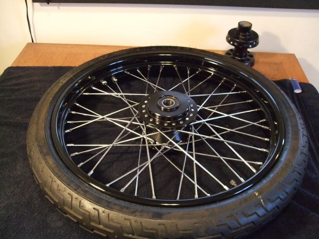 sportster 19 rear wheel